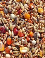 15 Magos keverék SPORT