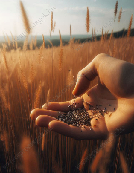 Fűmagkeverék Savanna Fémzárolt