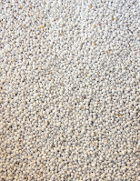 Alexandriai Here Vetőmag