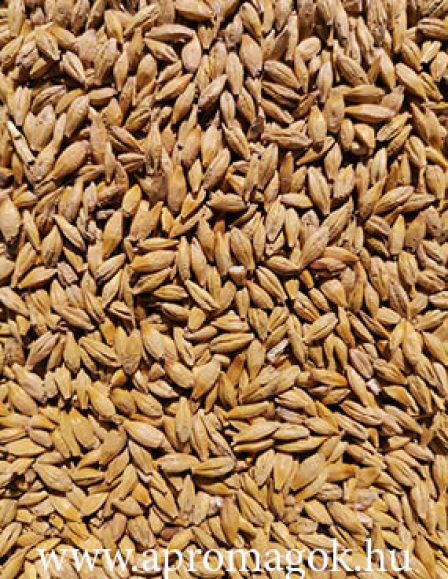 Árpa tavaszi - vetőmag