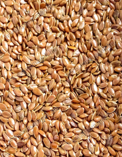 Lenmag Barna - olajütésre/sajtolásra