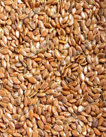 Lenmag Barna étkezési