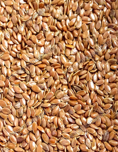 Lenmag Barna - takarmányozási célú