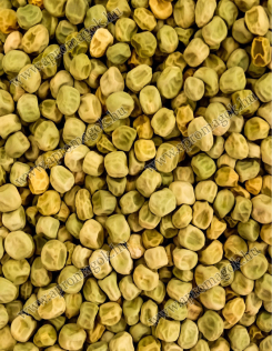 Borsó horgászati célra