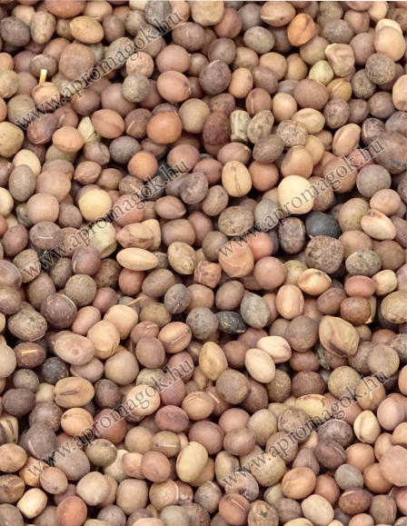 Bükköny Tavaszi - takarmányozási célú