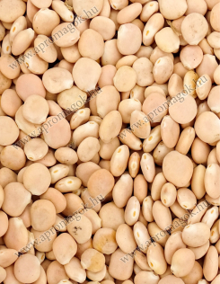 Csillagfürt keserű - takarmányozási célú