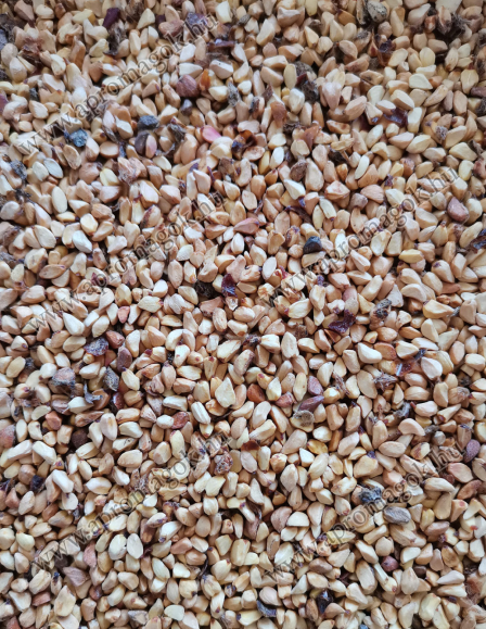 Csipkebogyó mag szárított