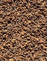 Facélia mag , Mézontófű Vetőmag