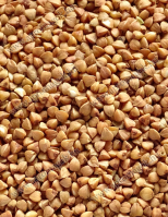 Hántolt Hajdina Pörkölt