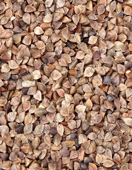 Hajdina - takramányozási célú