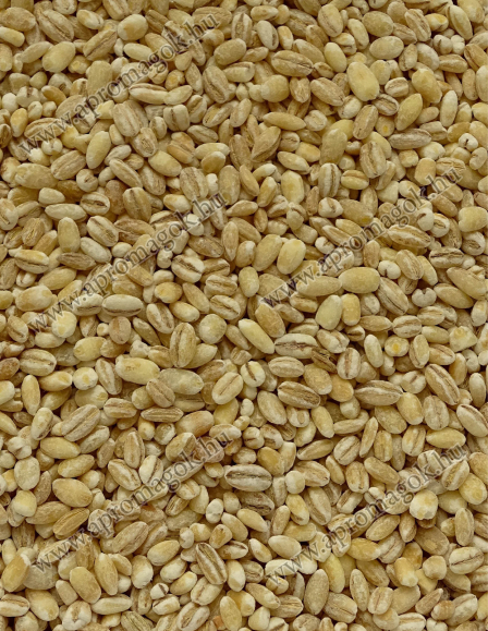 Hántolt árpa / Gersli