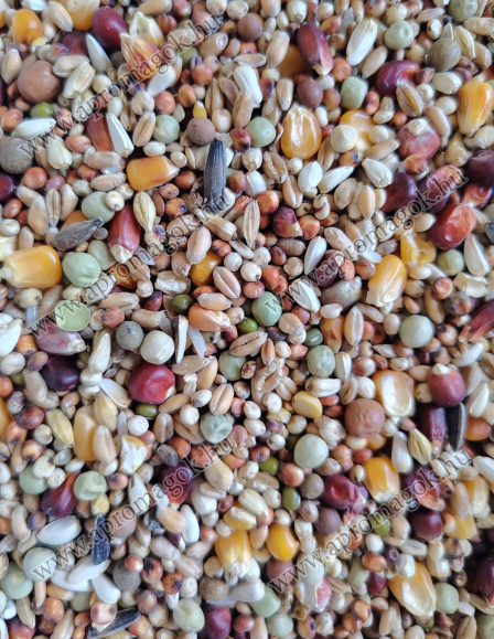 15 Magos Keverék JOKER