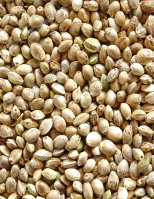 Kendermag - horgászathoz