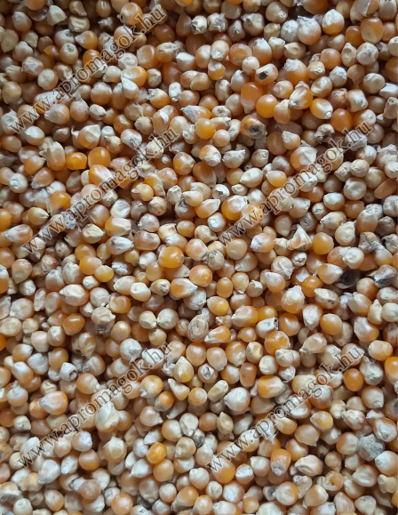 Popcorn Kukorica - horgászathoz