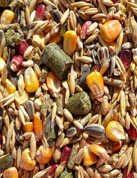 Rágcsáló magkeverék