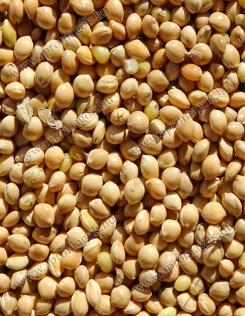 Köles fehér - takarmány