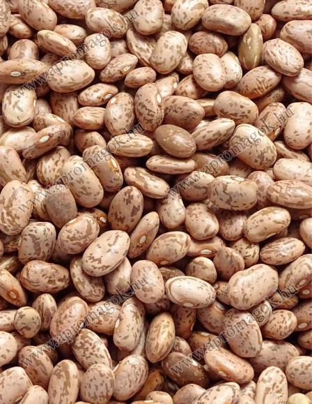 Bab - Pinto tarkabab