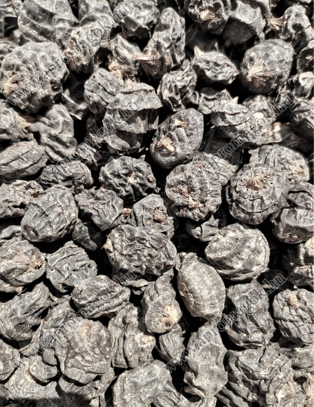 XXL Fekete Tigrismogyoró 14-24 mm