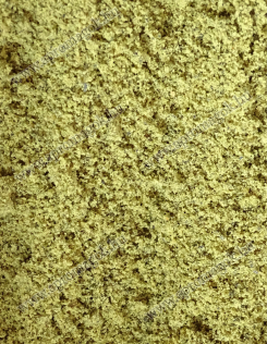 Tökmag Őrlemény - zsírtalanított