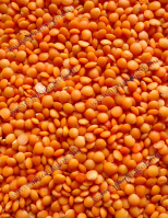 Vöröslencse étkezési